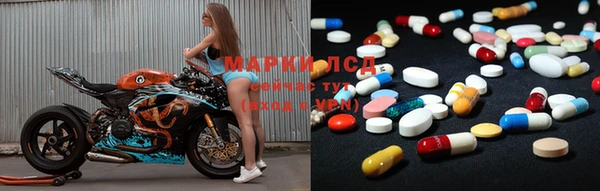 мяу мяу мука Дмитриев