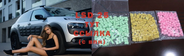 ECSTASY Дмитровск