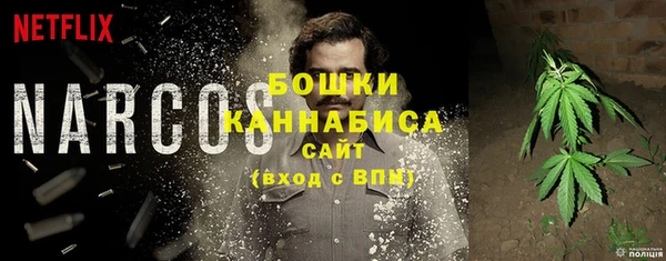 ECSTASY Дмитровск