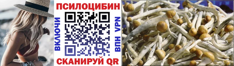 Купить где  Краснокаменск  Псилоцибиновые грибы GOLDEN TEACHER 